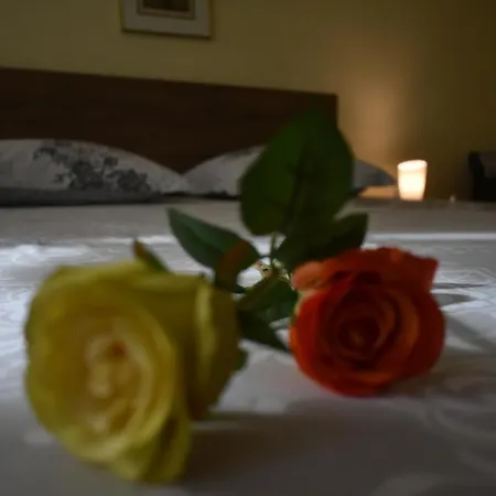 Honey Free Parking アパート